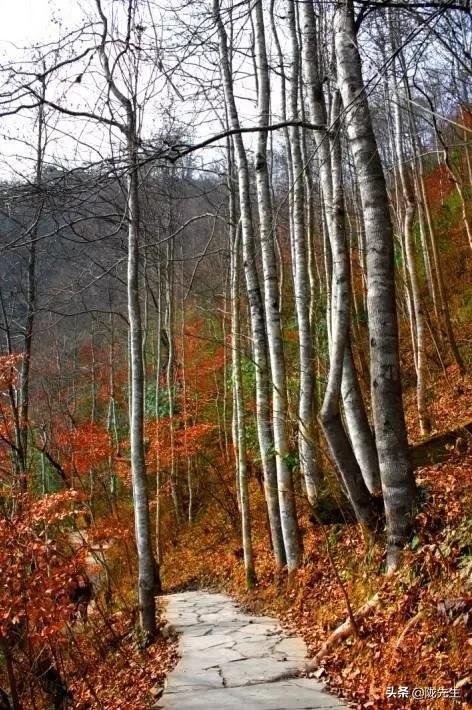 甘肃新增1例境外输入无症状感染者，疫情防控不松懈