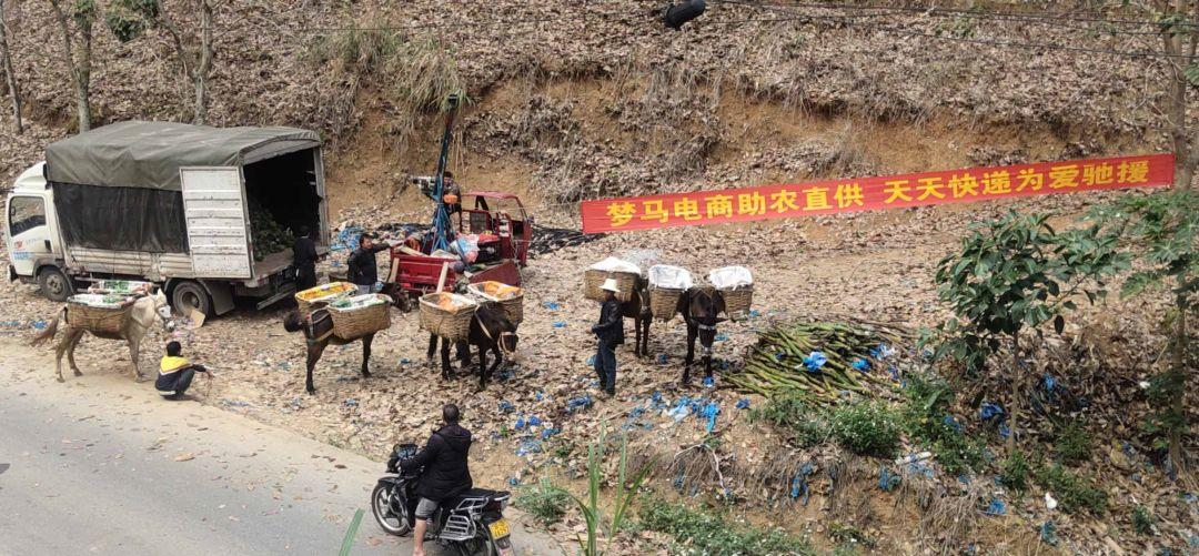 全国疫情分布最新数据，精准防控下的动态图景