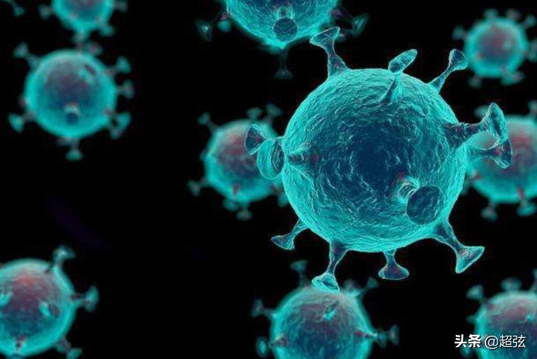 全球冠状病毒大流行，挑战、应对与未来展望