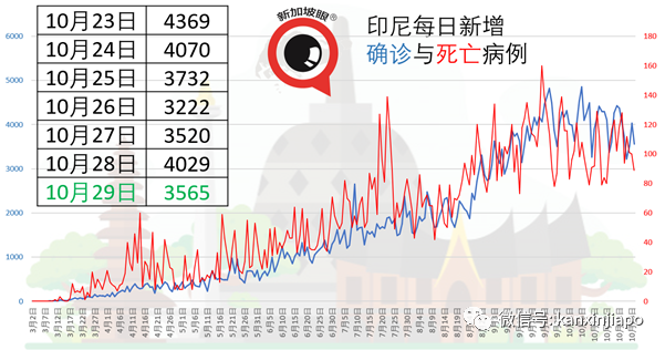 印尼累计确诊病例持续攀升，挑战、应对与反思