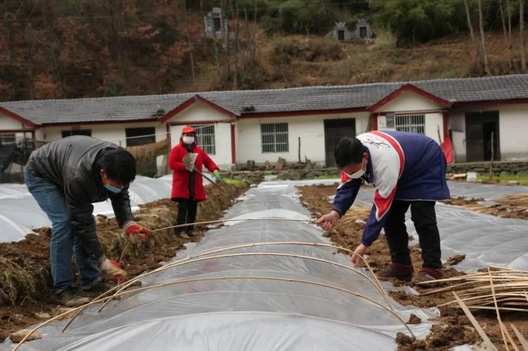 软管理，硬担当，安康疫情防控最严在人心