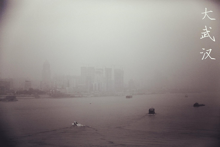 武汉疑似，迷雾中的真相探寻与集体记忆