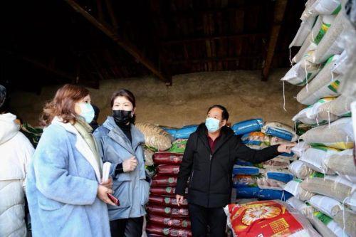 吉林疫情信息，科学防控，共筑健康防线