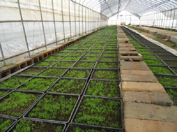 今日股票大盘点数，市场波动中的机遇与挑战