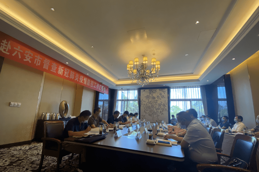 六安新冠疫情最新消息，今日防控动态与市民健康提示