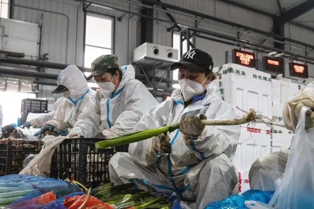 沈阳此次疫情源头探析，冷链传播与防控挑战