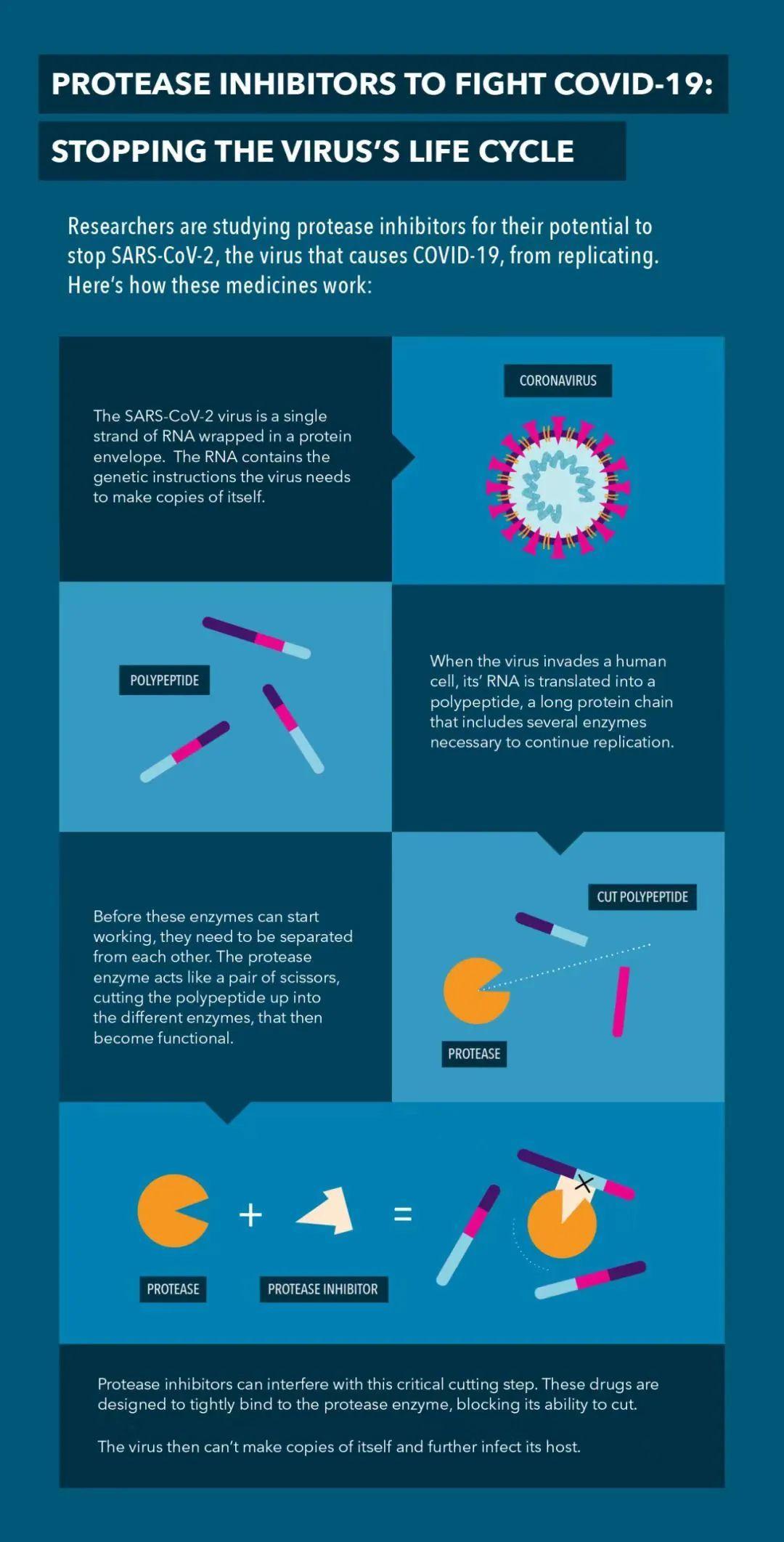 美国新冠病例突破651万，疫情阴影下的反思与挑战