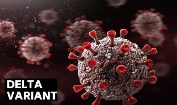 德尔塔毒株与新冠病毒，变异毒株的挑战与区别