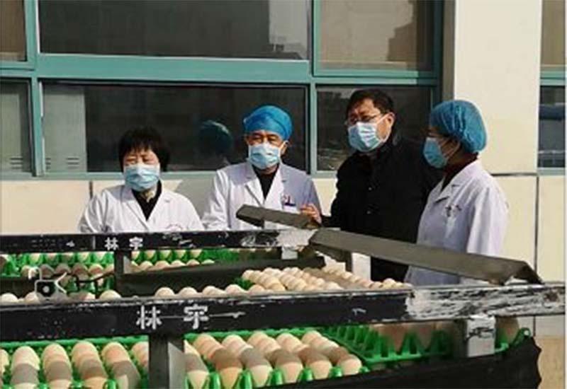 即墨新冠疫情最新动态，防控措施全面升级，市民生活有序保障