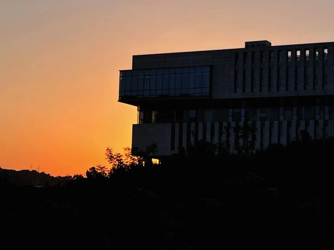 象牙塔的黄昏，疫情后大学的祛魅与重塑