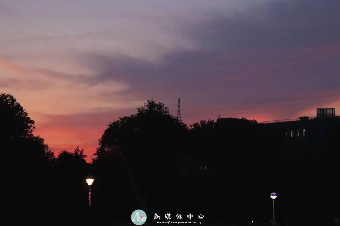 象牙塔的黄昏，疫情后大学的祛魅与重塑