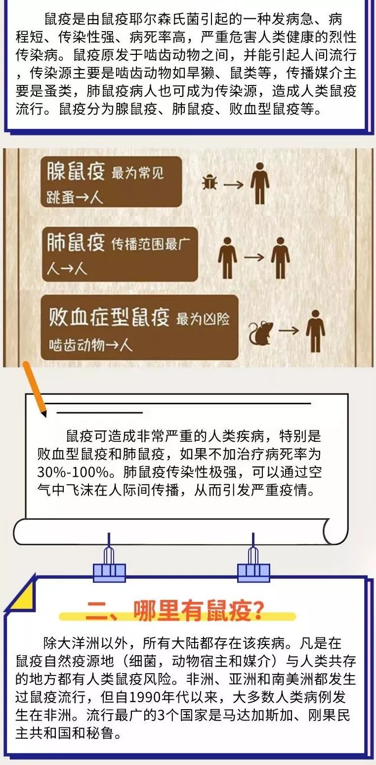 全国鼠疫多少例，现状、防控与公众认知