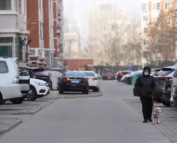 长安暂静,温暖未停—石家庄长安区疫情封闭下的城市脉动 长安暂静,温暖未停—石家庄长安区疫情封闭下的城市脉动