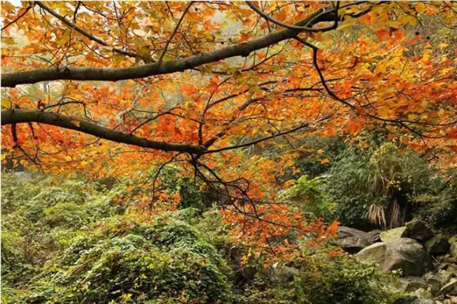 舟山疫情实时动态，精准防控下的海岛守护