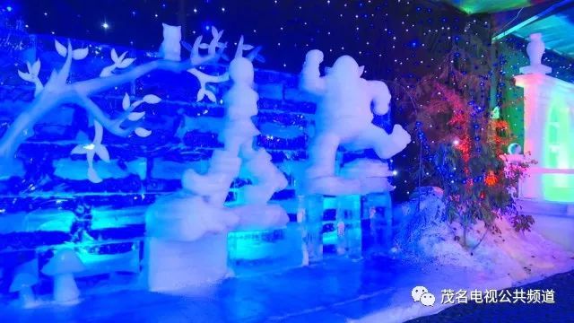 冬奥现场直播，冰雪奇缘的即时共鸣