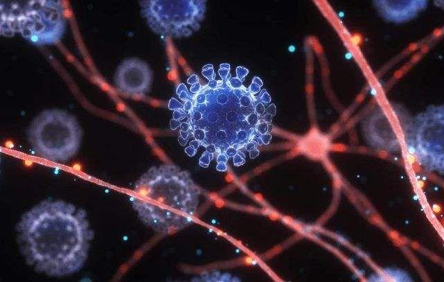 德尔塔病毒与新冠病毒，变异毒株的传播特性与防控挑战