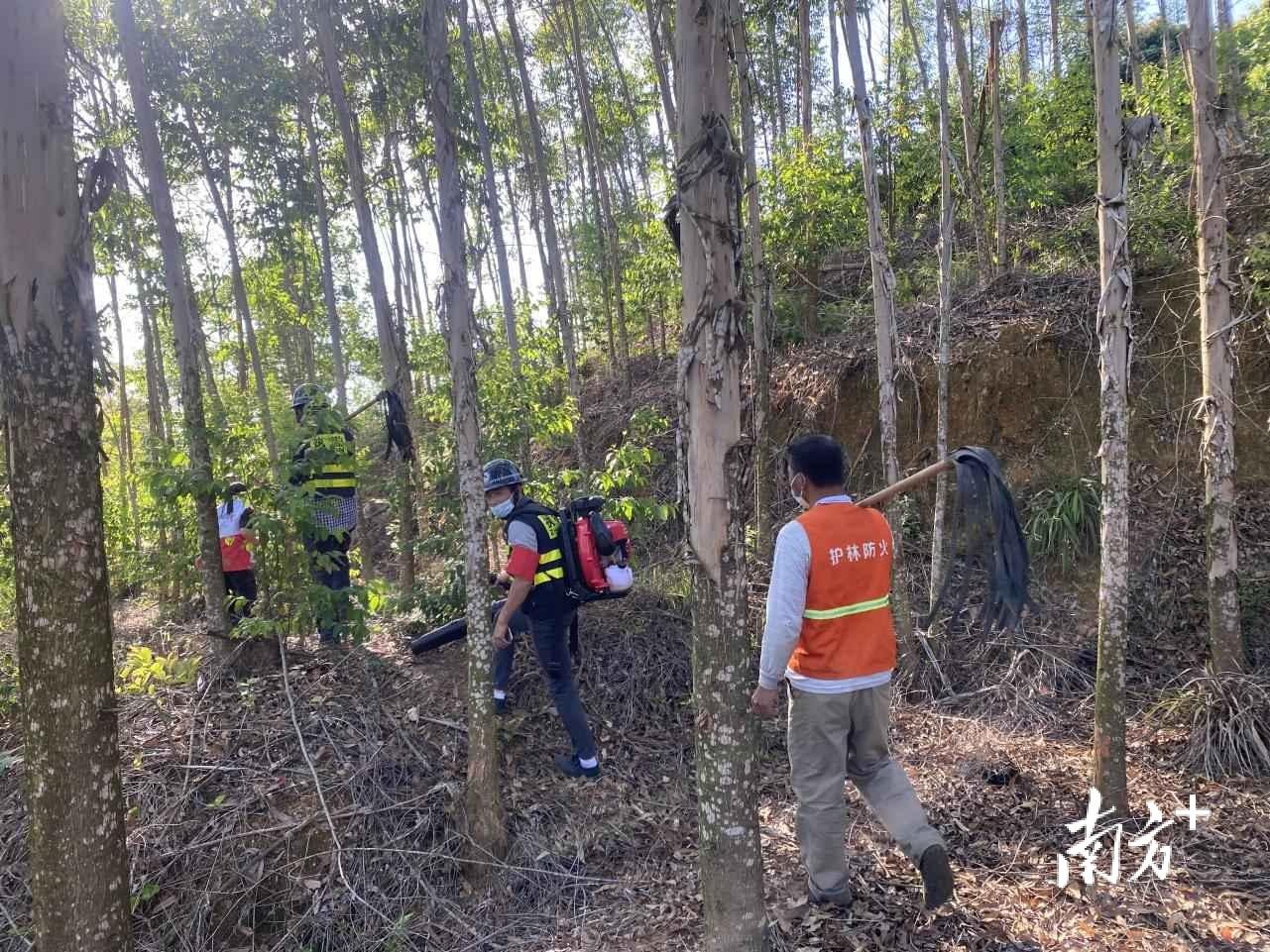 厦门莆田全员核酸检测点，筑牢疫情防线，守护万家灯火