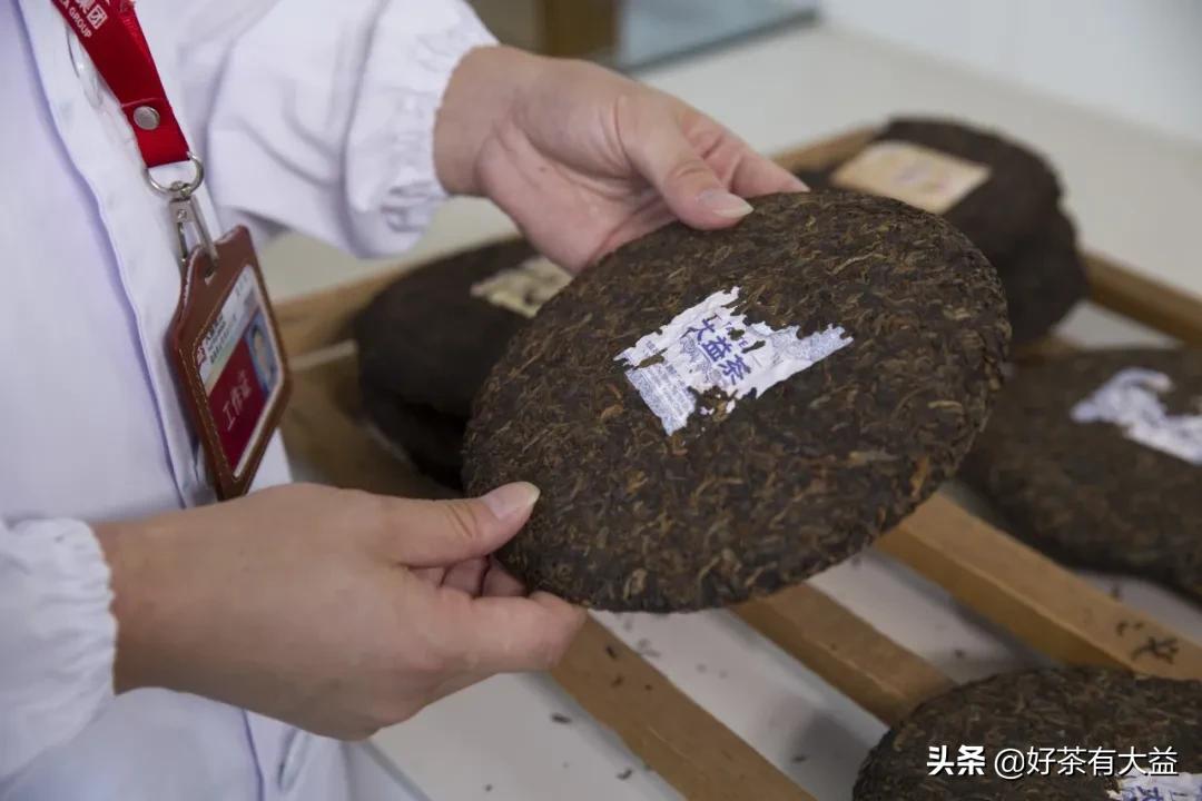 刚刚！新冠疫情再传大消息，后疫情时代我们该如何自处？