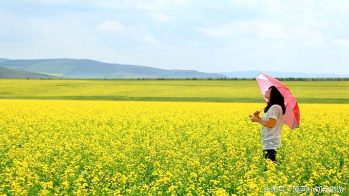 静默的呼伦贝尔，当草原按下暂停键
