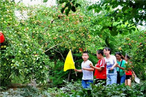 呼和浩特确诊3例，疫情防控不松懈，市民生活平稳有序