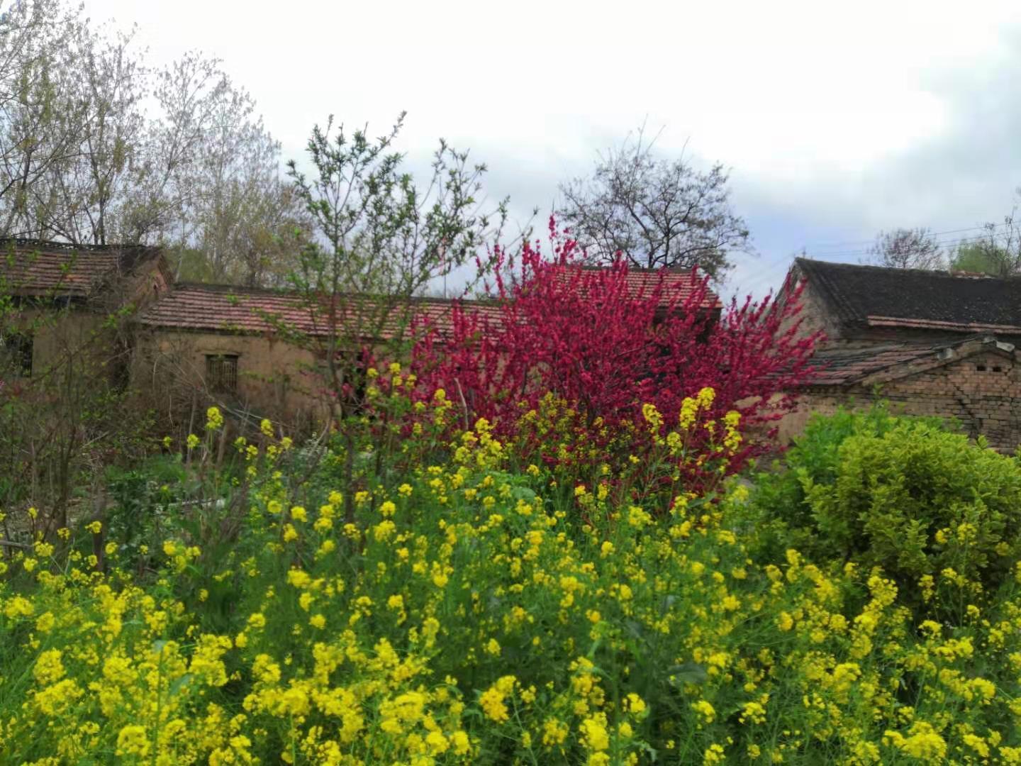 2021年清明节放假通知怎么写？附标准模板与范文