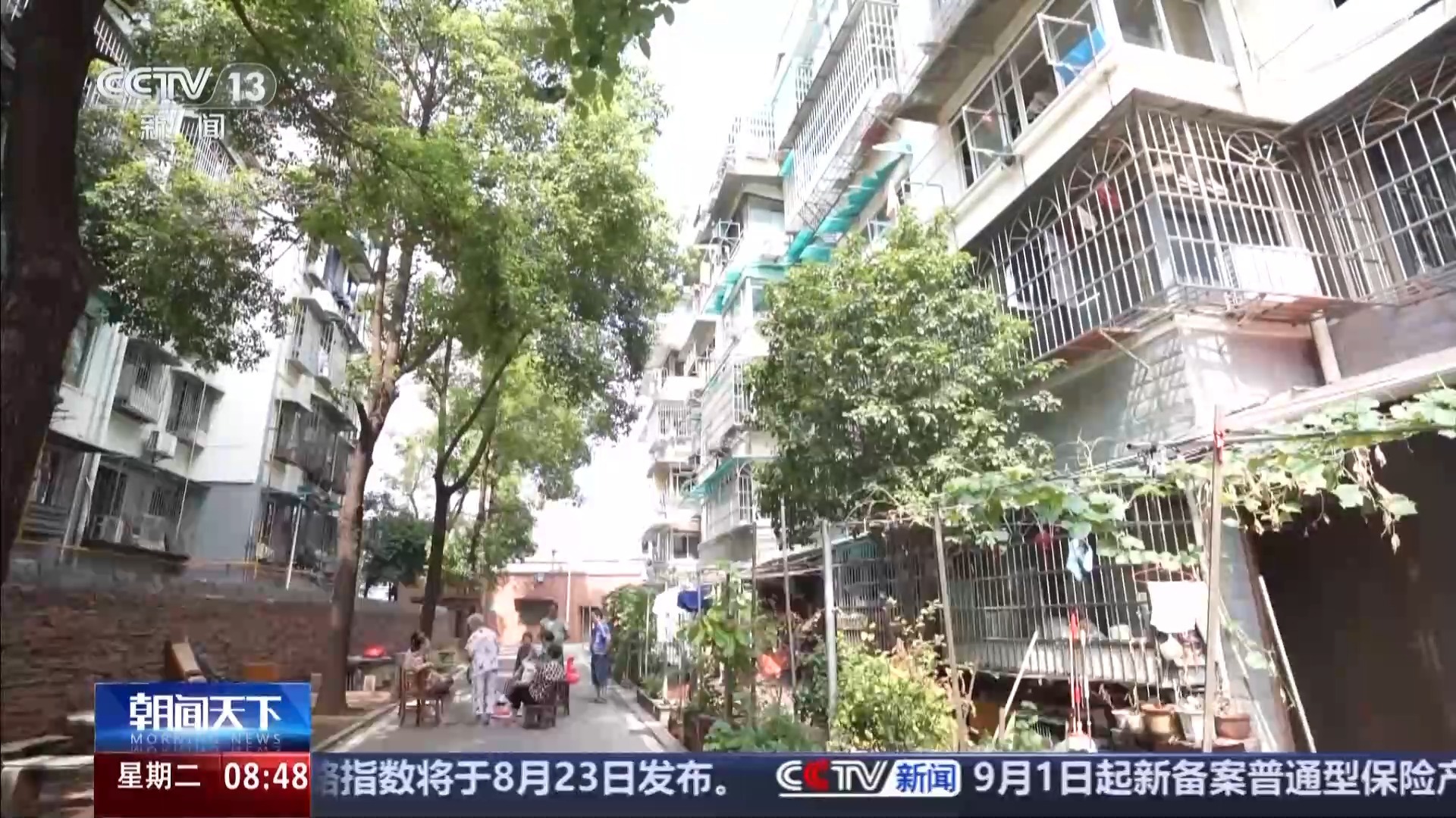 海淀区马连洼北路，一条街的烟火与远方