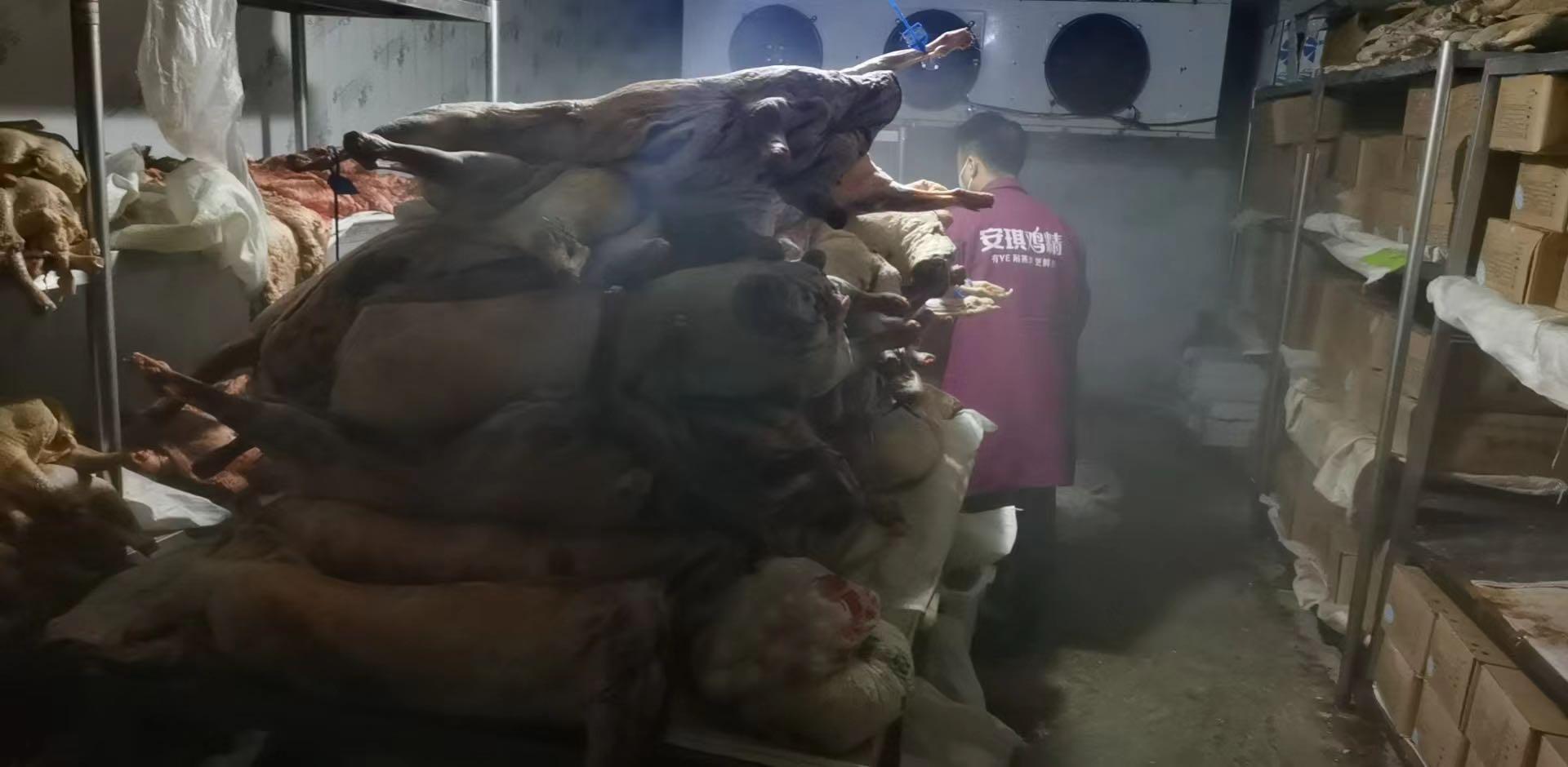 库尔勒封闭了吗？当前防疫政策与市民生活现状解析