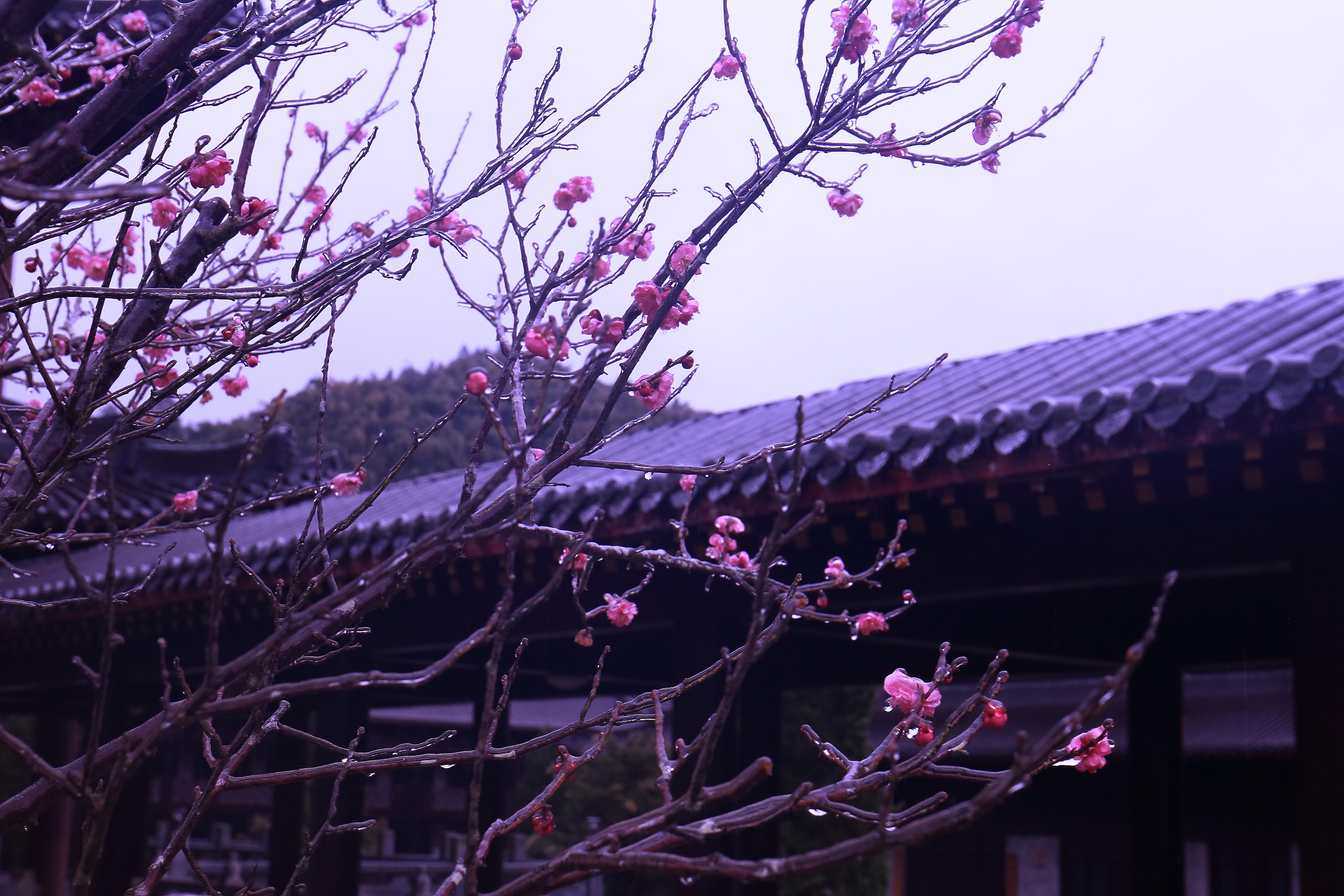 2021年江西返乡人员最新通知，疫情防控下的归乡指南