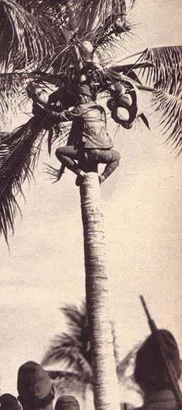 山东炭疽病例详情最新通报，防控措施全面加强，公众无需恐慌