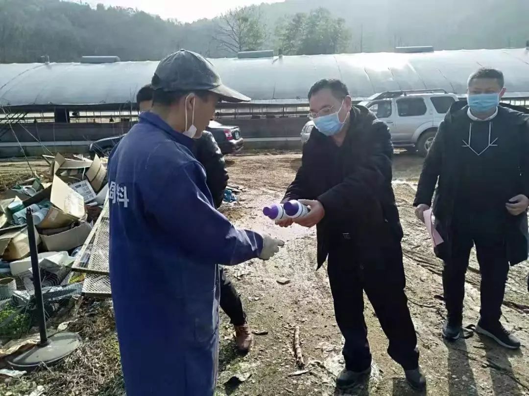 玉山疫情最新情况，持续稳定防控，筑牢健康防线