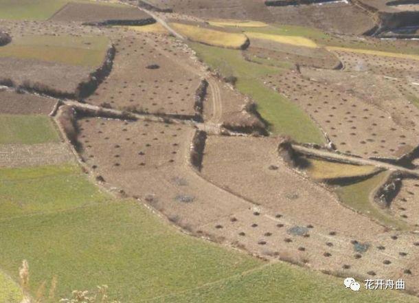 双鸭山，同心战疫，静待春来