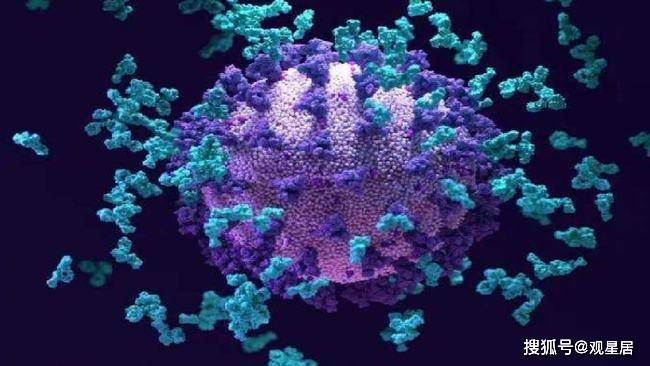 变异毒株在中国，挑战与应对