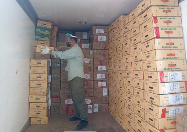 快递停运2025,邮政系统如何应对物流业的新挑战? 快递停运2025,邮政系统如何应对物流业的新挑战?