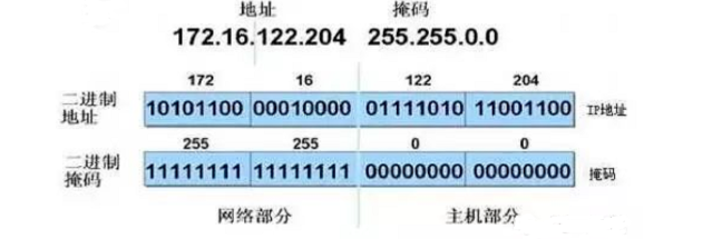 261号地区，数字迷雾中的MP4之谜