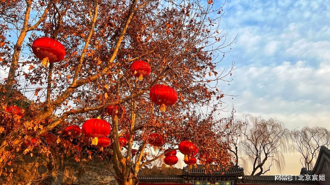 北京元旦公园，新年钟声里的都市绿洲