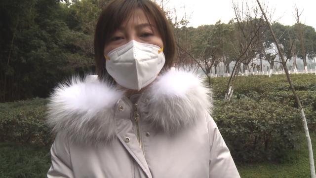 顺丰速递单号查询指南，轻松掌握物流动态，让包裹追踪更高效