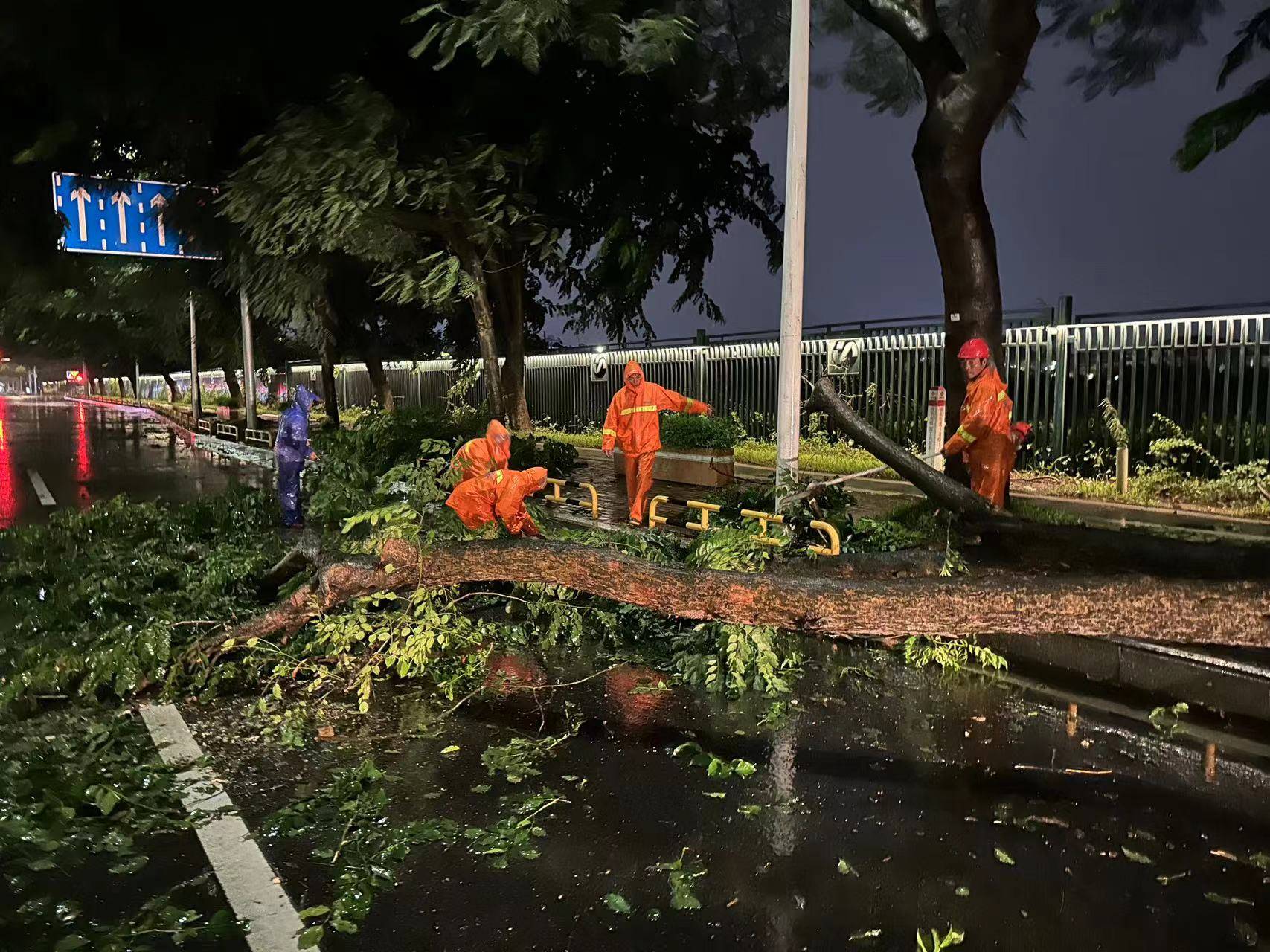 东莞双线作战，台风与疫情夹击下的城市韧性考验