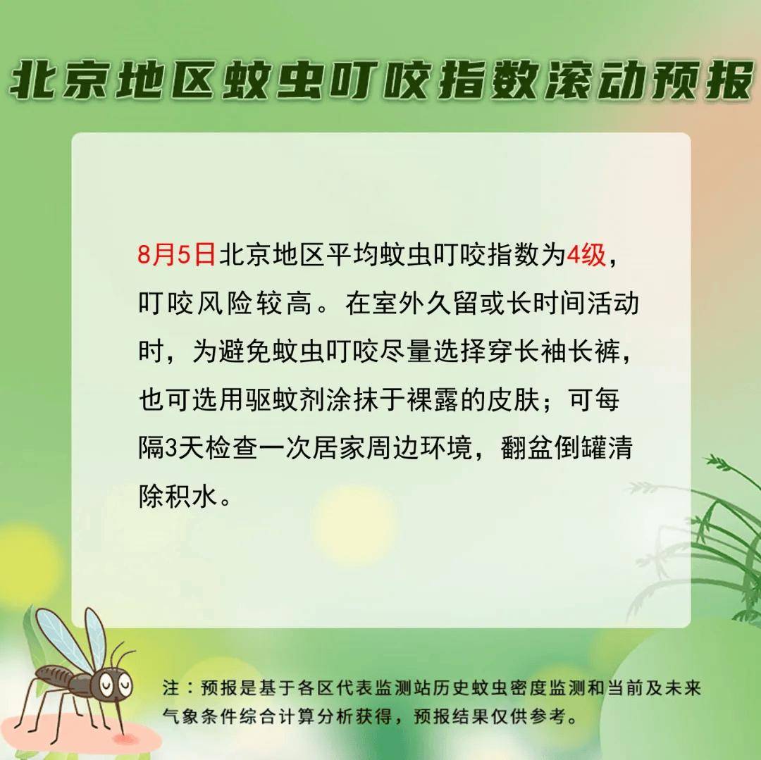 北京疫情与蚊子传播风险,最新动态与科学解读 北京疫情与蚊子传播风险,最新动态与科学解读