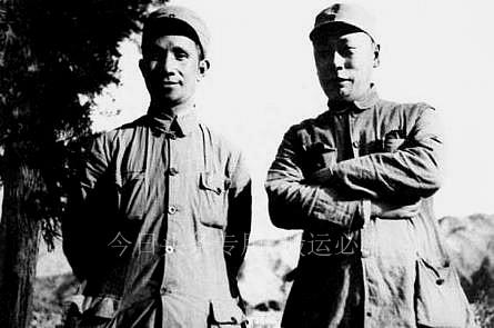 瓷器店里抓老鼠，上海精准防控的艺术与挑战