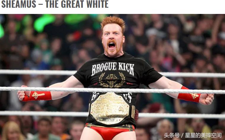 大白是谁的外号