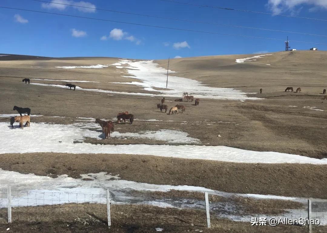 当奢华遇见旷野，豪华SUV如何重新定义出行美学