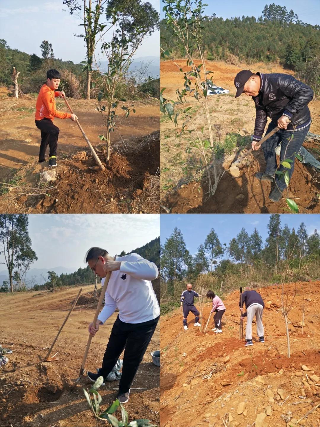 福建仙游疫情最新消息，防控措施升级，全力阻断传播链