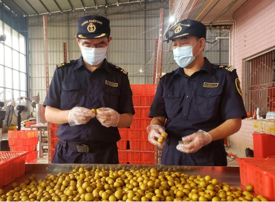 进口水果检出新冠病毒阳性，还能放心吃吗？科学解读来了