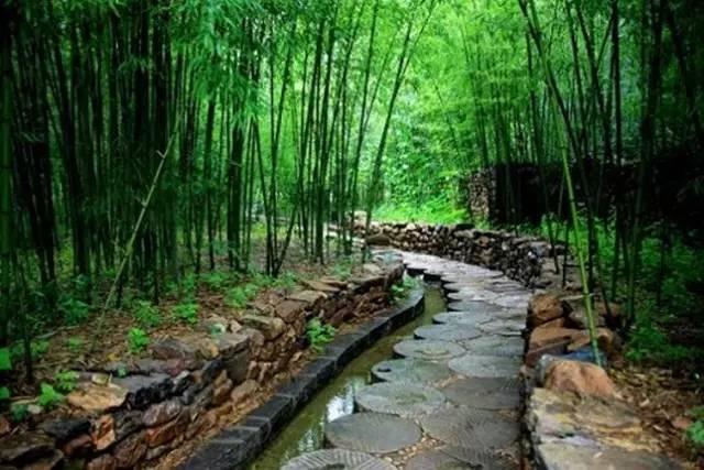 河南再现本土疫情，三例新增病例警示防控不可松懈