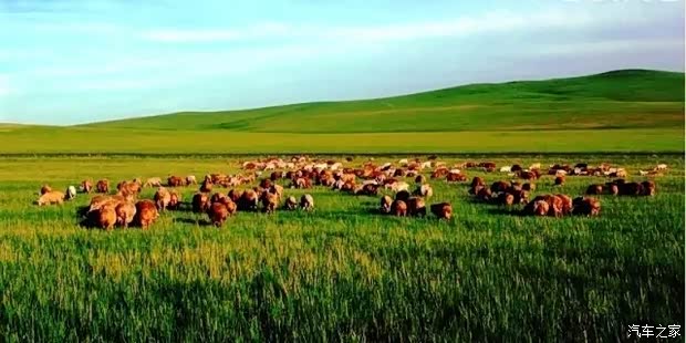 内蒙古旅游论坛，探索草原秘境，分享旅途故事