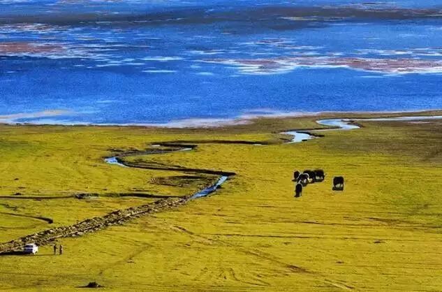 内蒙古旅游论坛，探索草原秘境，分享旅途故事