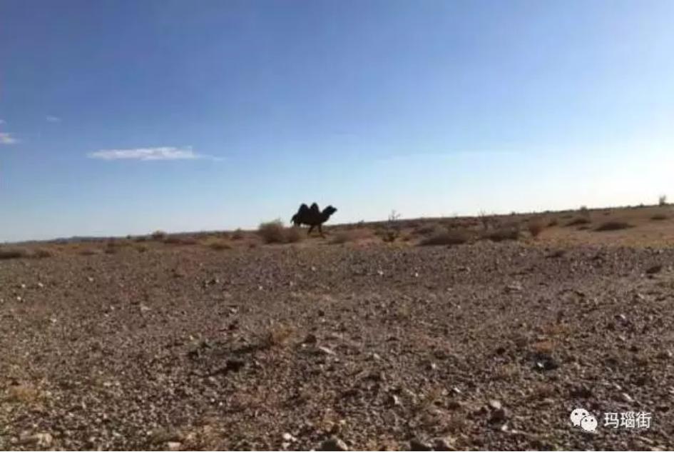 阿拉善，探寻内蒙古西部苍茫大地的地理密码