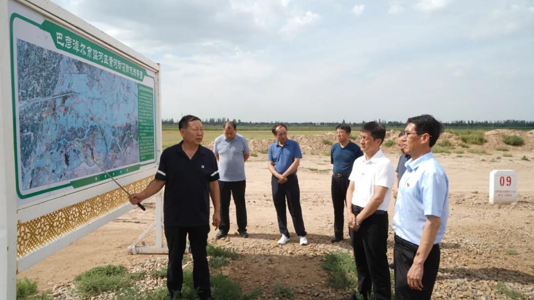 临河新闻最新动态，城市更新加速 生态治理成效显著