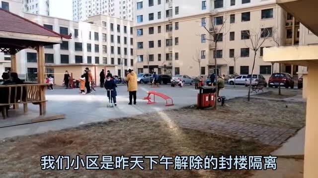 谁说石家庄要封城