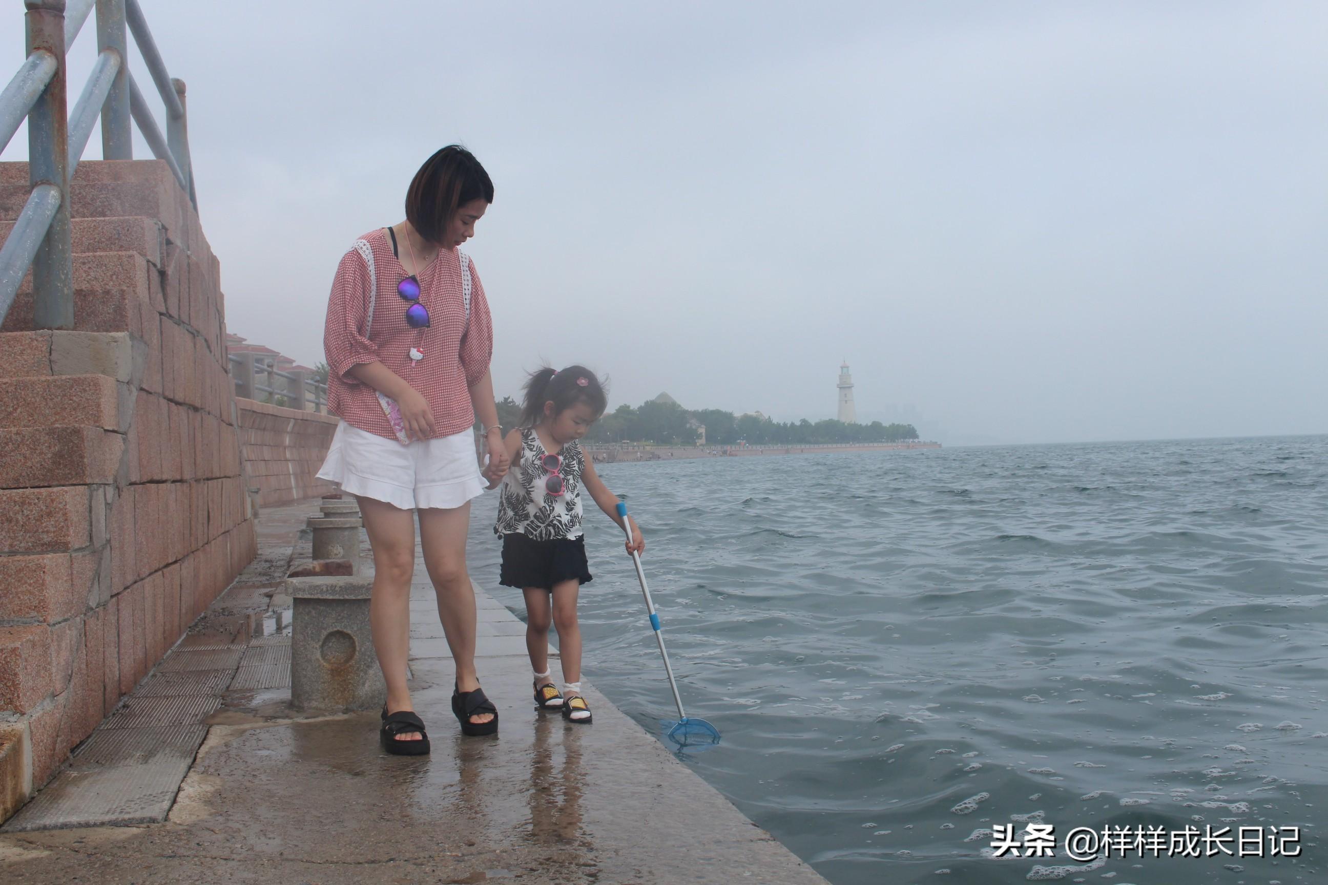 烟台到大连船票带车，自驾跨海的便捷之旅